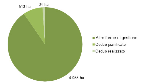 Storia grafico