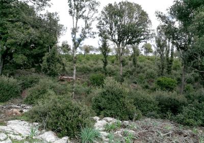 Primo Sopralluogo Di Progetto 13 Marzo 2018 5